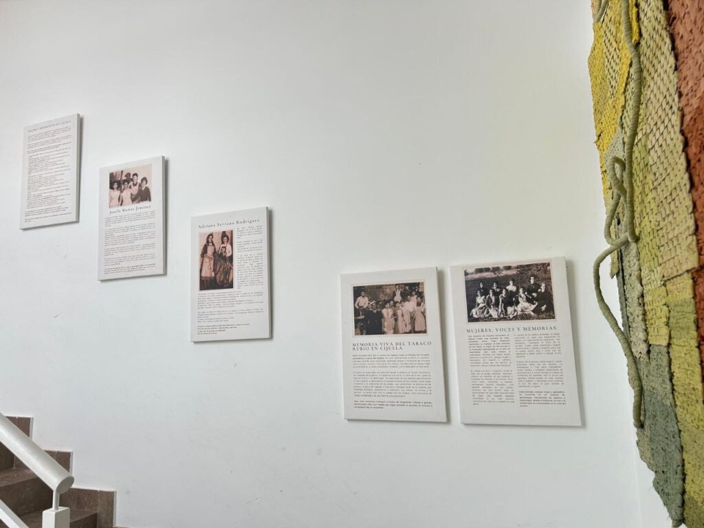 IMAGE 2025 11 28 181134 - Igualdad en Granada