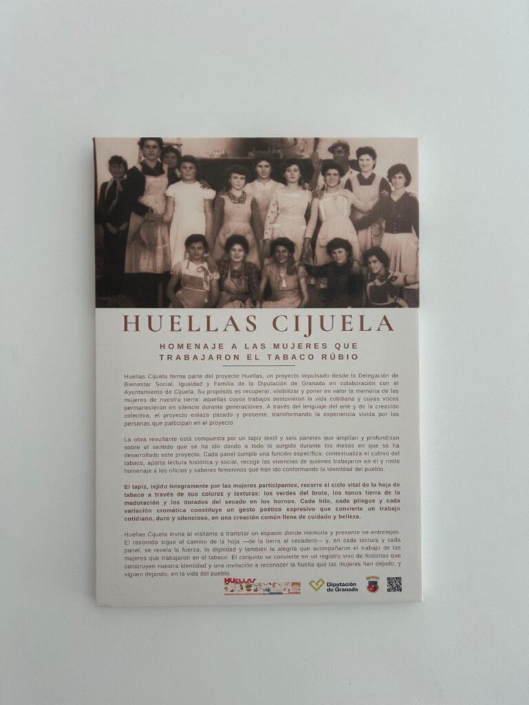 IMAGE 2025 11 28 181136 - Igualdad en Granada