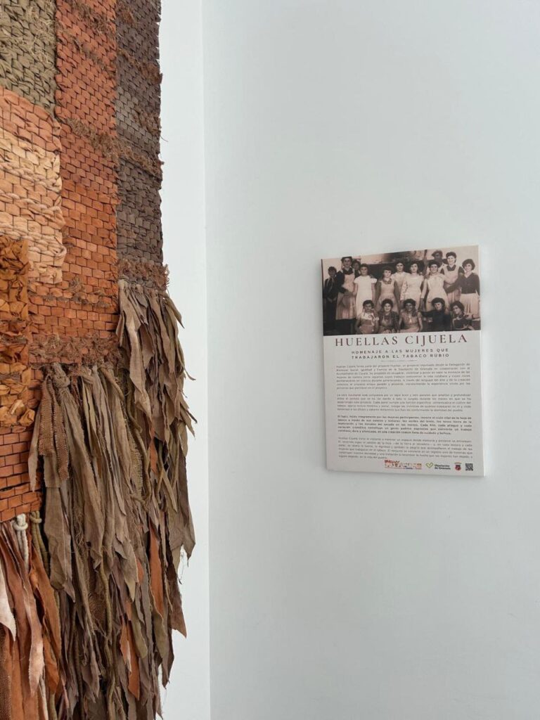 IMAGE 2025 11 28 181138 - Igualdad en Granada