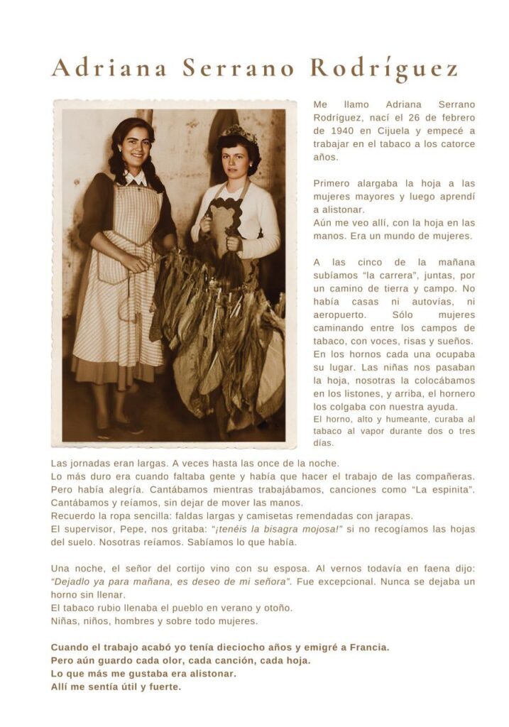 IMAGE 2025 11 28 193234 - Igualdad en Granada