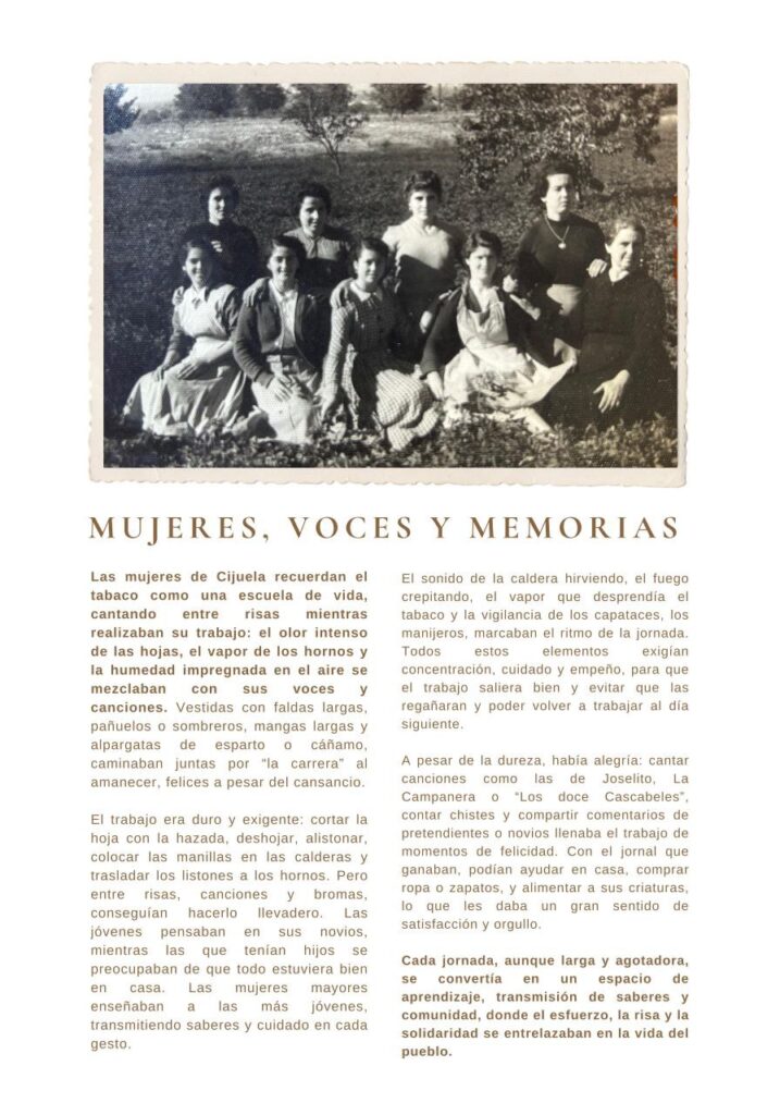 IMAGE 2025 11 28 193236 - Igualdad en Granada