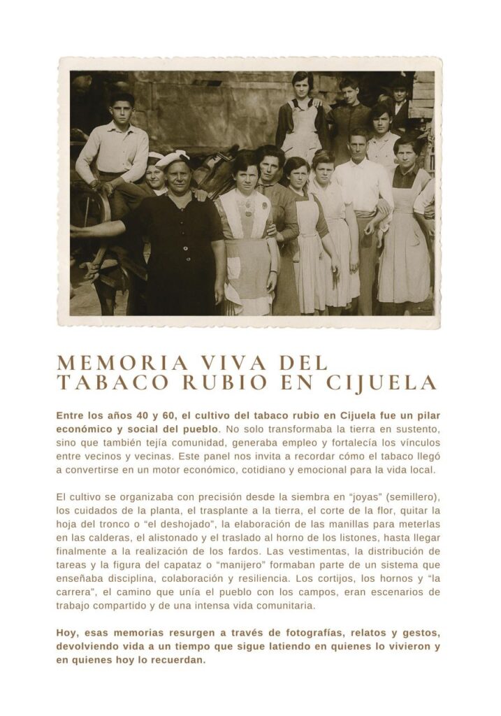 IMAGE 2025 11 28 193238 - Igualdad en Granada