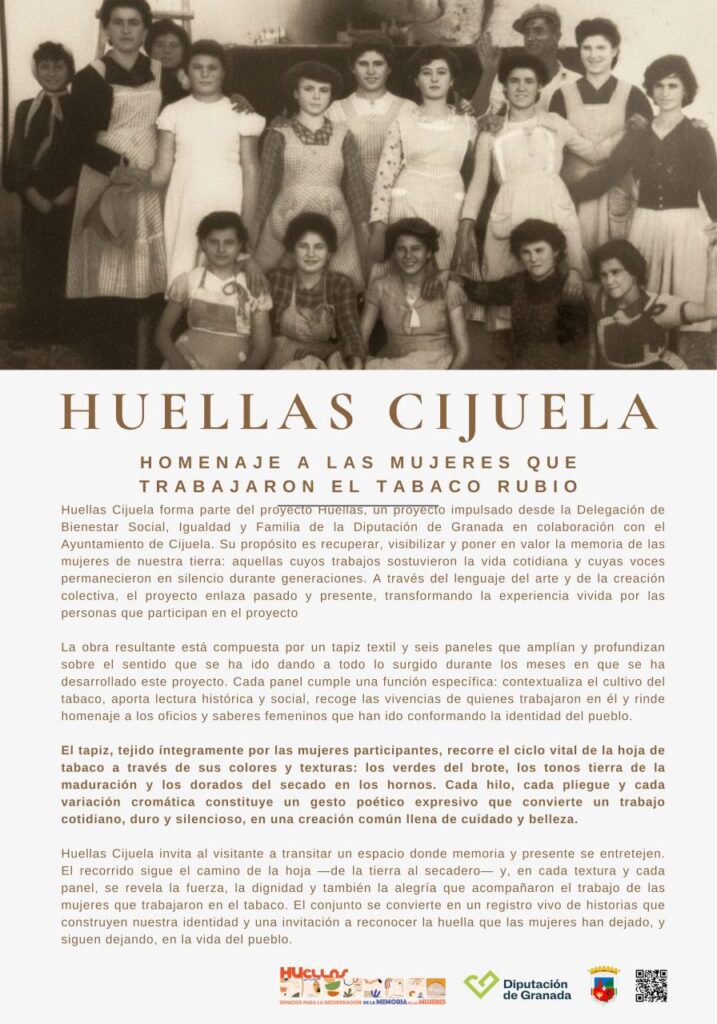 IMAGE 2025 11 28 193240 - Igualdad en Granada